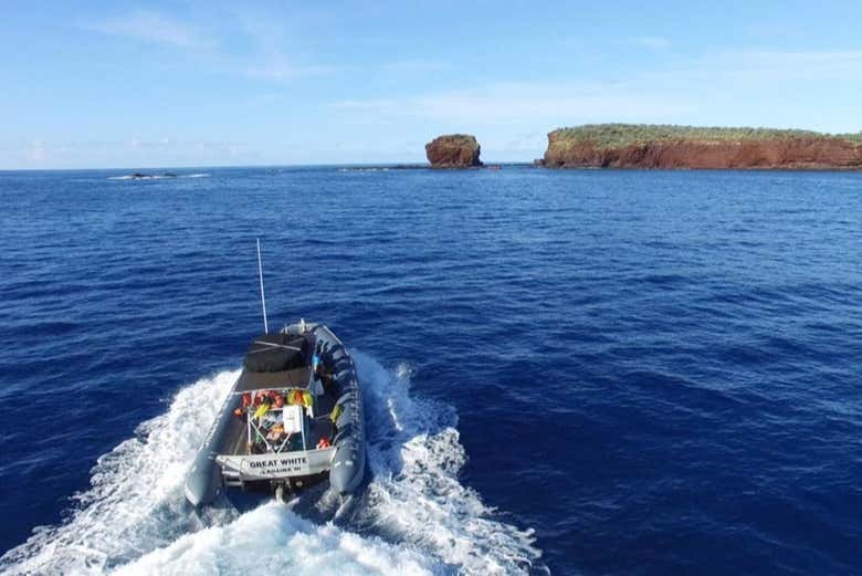 Snorkeling à Lahaina, Maui