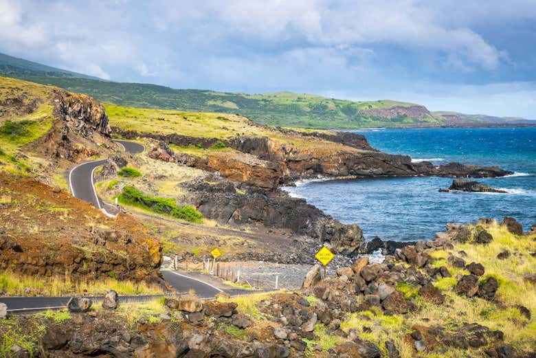 Imagen 4