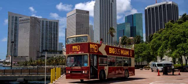 Autobus turistico di Miami