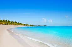 Excursión privada a Cayo Hueso