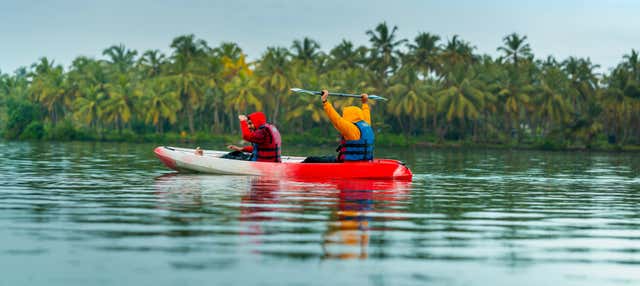 Kayak o paddle surf a Raccoon Island