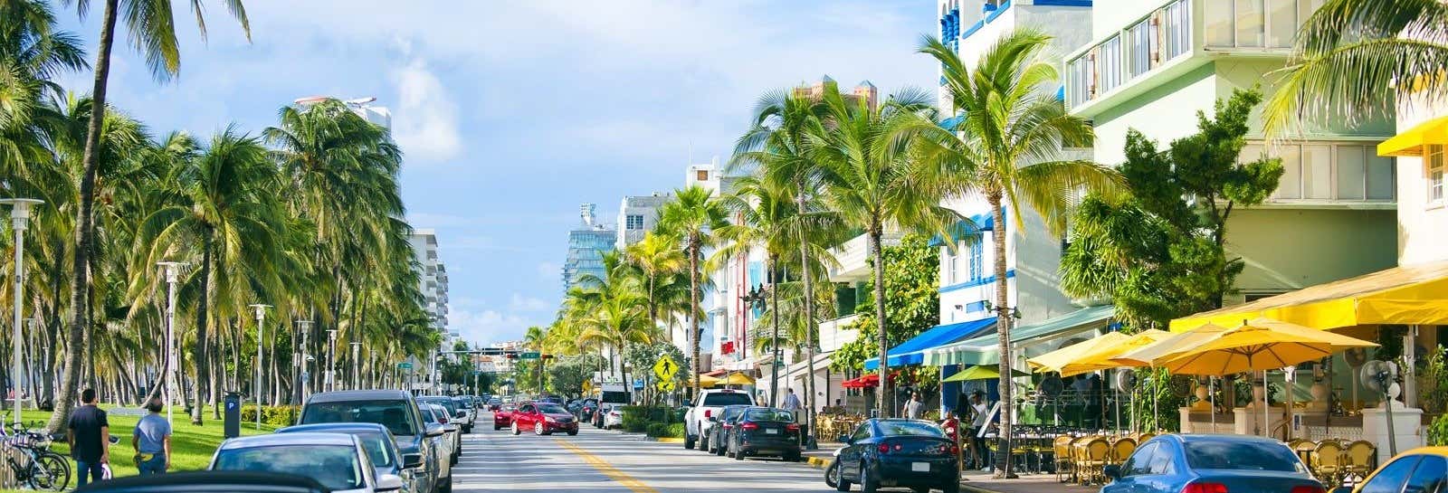 Tour por Miami para cruceros + Recogida en el aeropuerto y traslado al barco