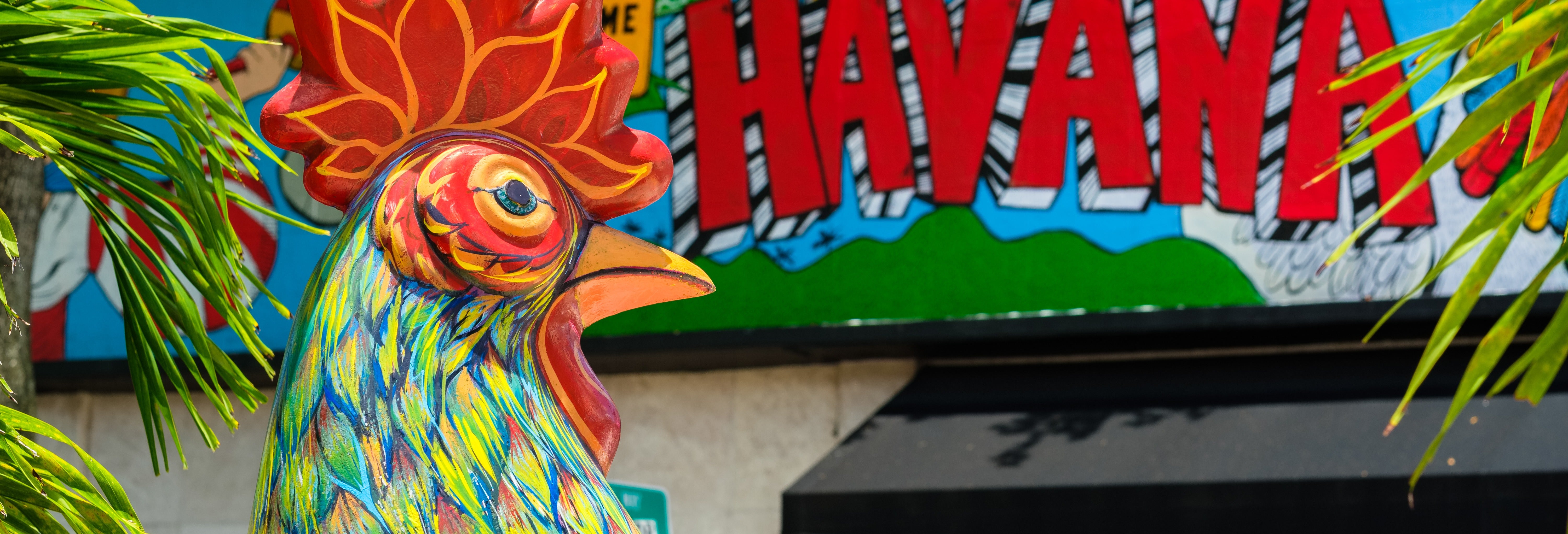 Little Havana Street Art Tour