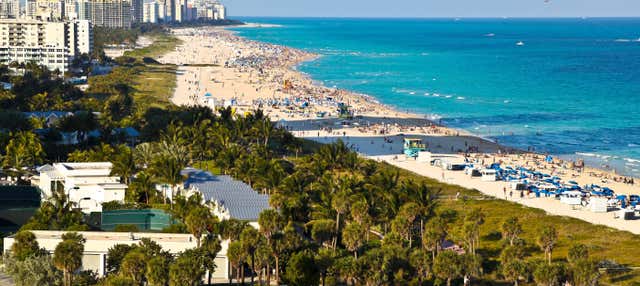 Tour di Miami e delle Everglades