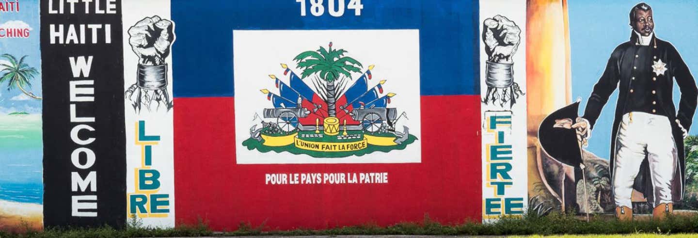 Visite guidée dans Little Haïti, Buena Vista et Miami Design district