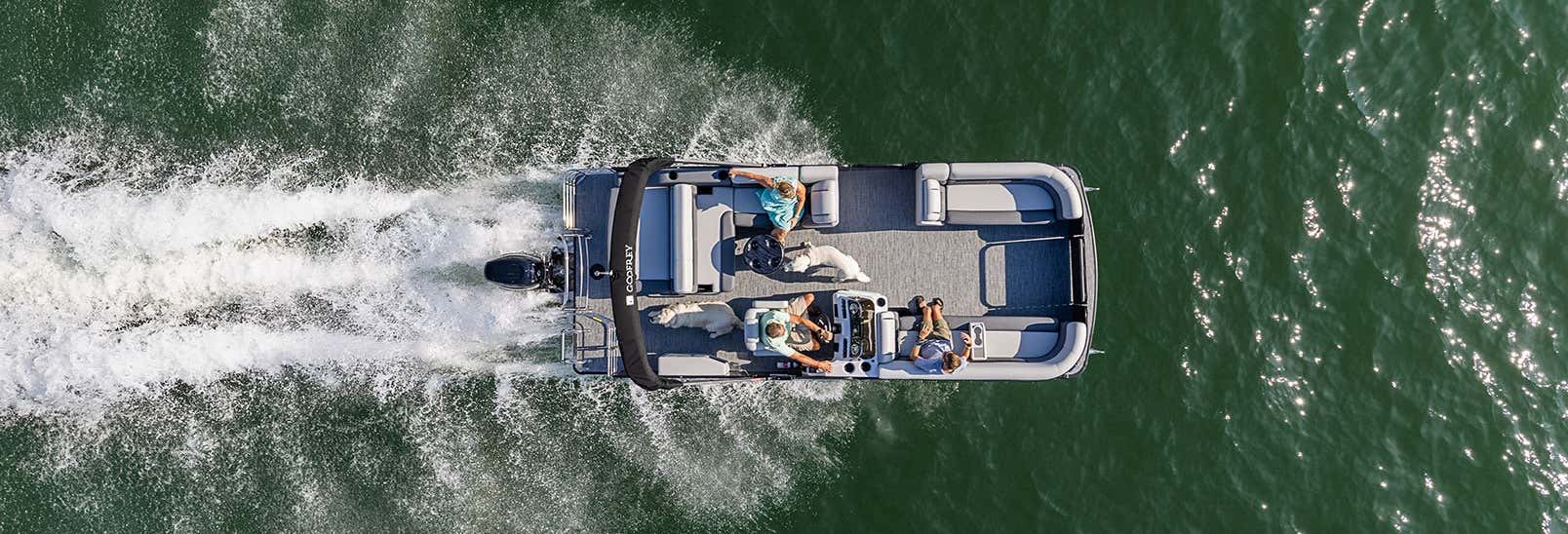 Escursione privata all'isola di Keewaydin