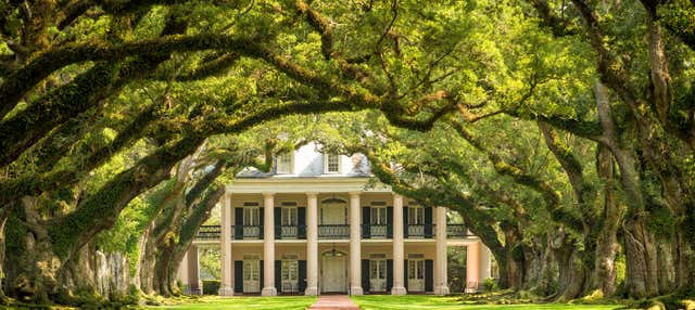 Escursione alla Oak Alley Plantation