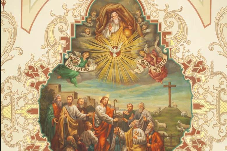 Imagen 8