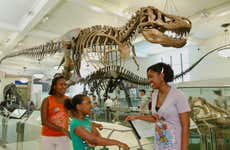 American Museum of Natural History Tickets