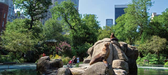 Central Park Zoo Tickets