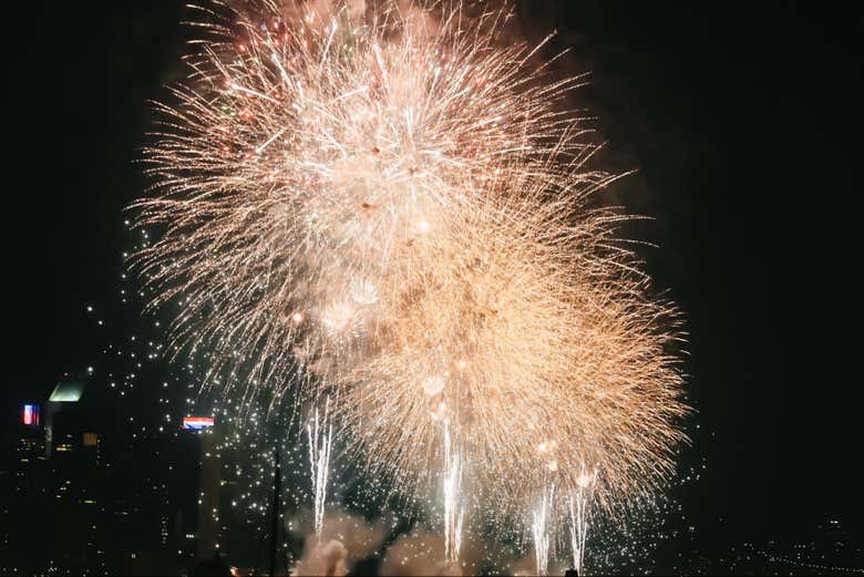 Imagen de Crucero del 4 de julio en Nueva York