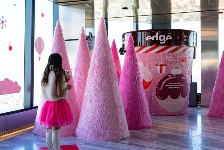 Imagen de Entrada a Edge