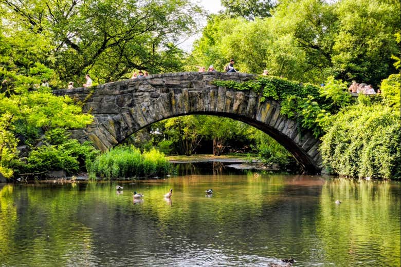 Imagen de Tour de Nueva York al completo + Ferry de Staten Island