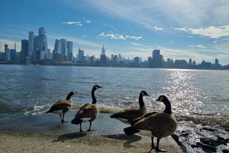 Ferry a Hoboken + Tour por Hudson River Waterfront