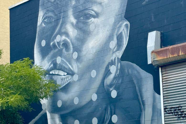 Imagen de Free tour del grafiti por Brooklyn