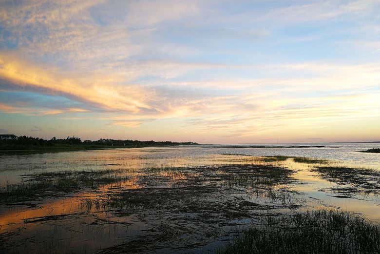 Excursión a Los Hamptons + Outlet Tanger