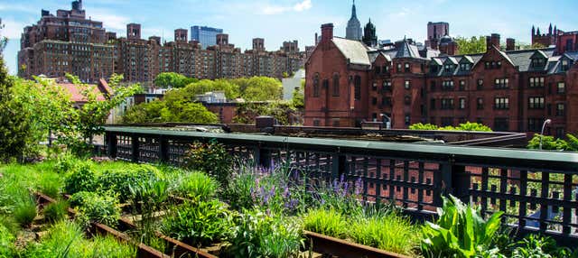 Tour pelo High Line