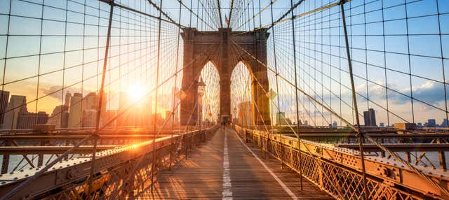 Brooklyn Bridge & Dumbo Walking Tour