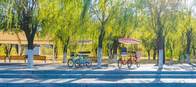 Tour de rickshaw pelo Central Park