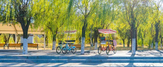 Balade en pousse-pousse dans Central Park