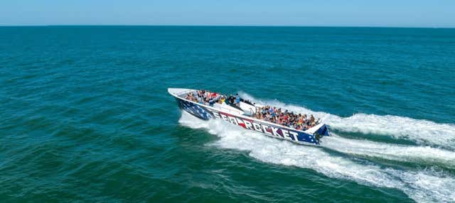 Avvistamento di delfini a Ocean City