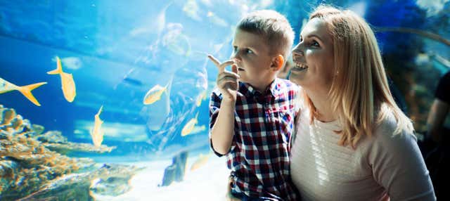 Biglietti per il SEA LIFE® Orlando