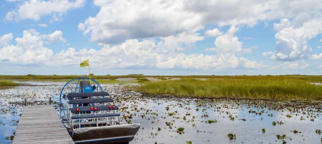 Escursione alle Everglades