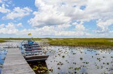 Everglades Day Trip