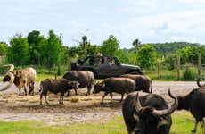 Wild Florida Adventure Park Safari