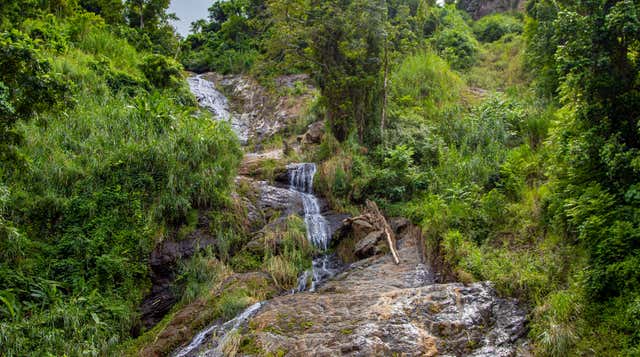 Orocovis