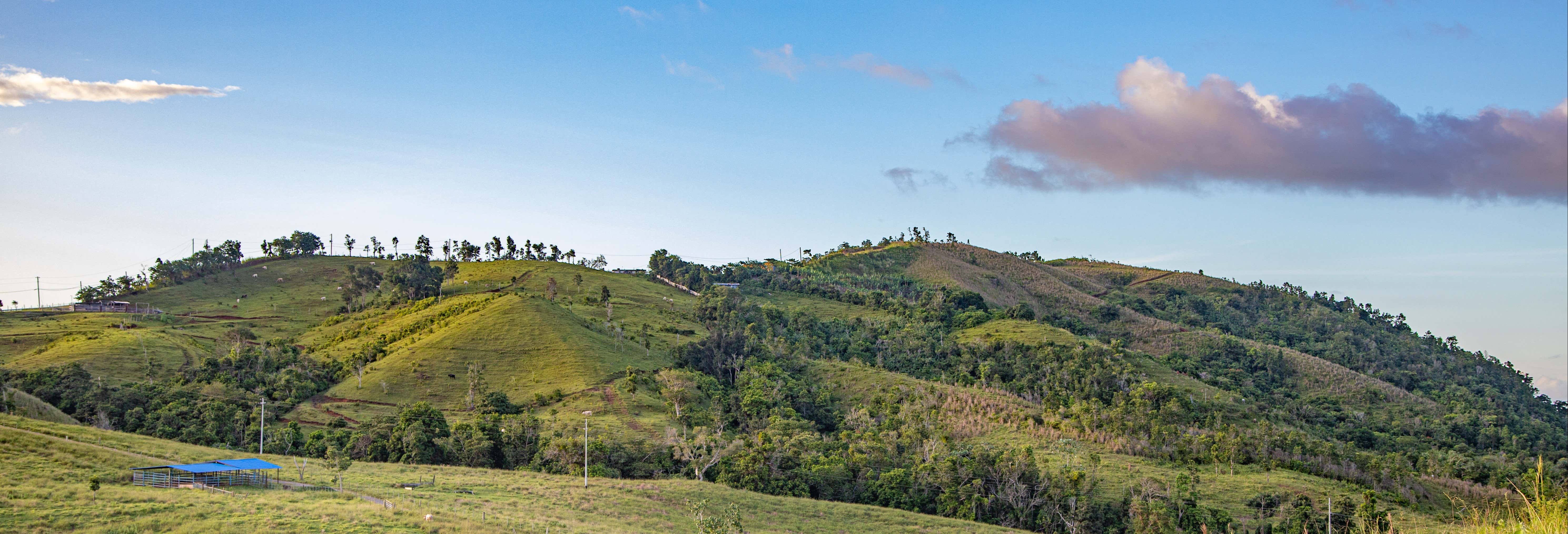 Skybike in Toro Verde Eco Adventure Park