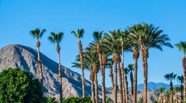 Palm Springs