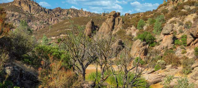 Tour della faglia di San Andreas in 4x4