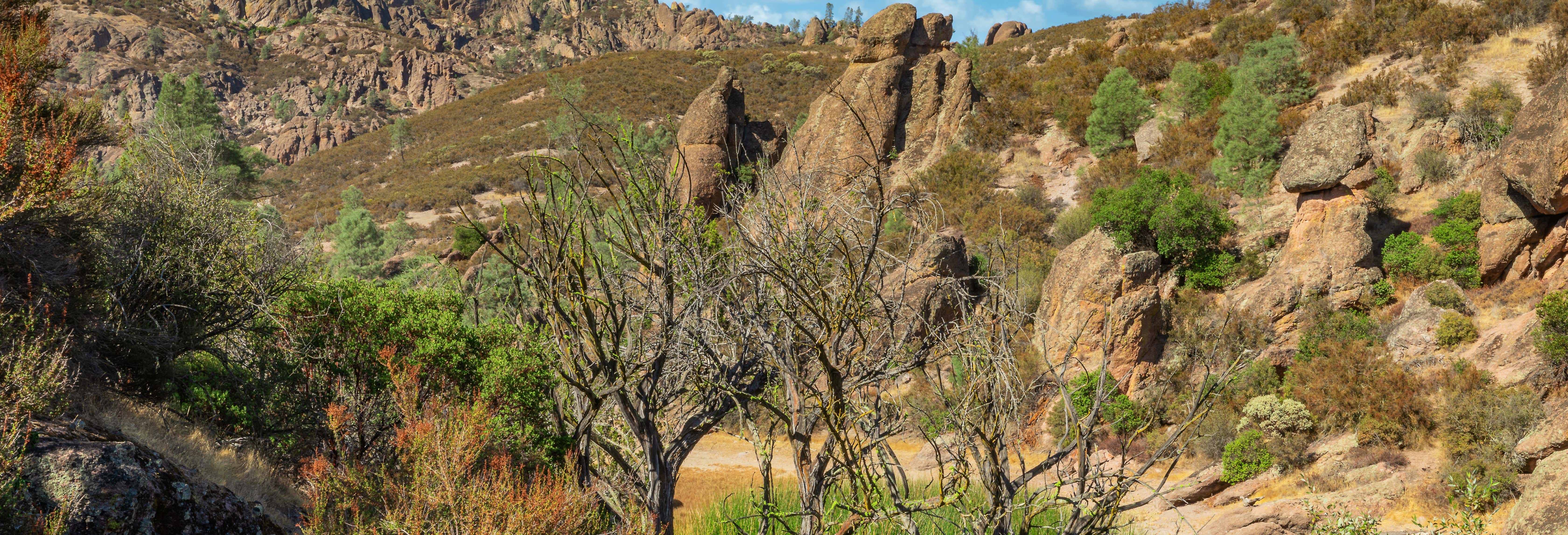 San Andreas Fault 4x4 Tour