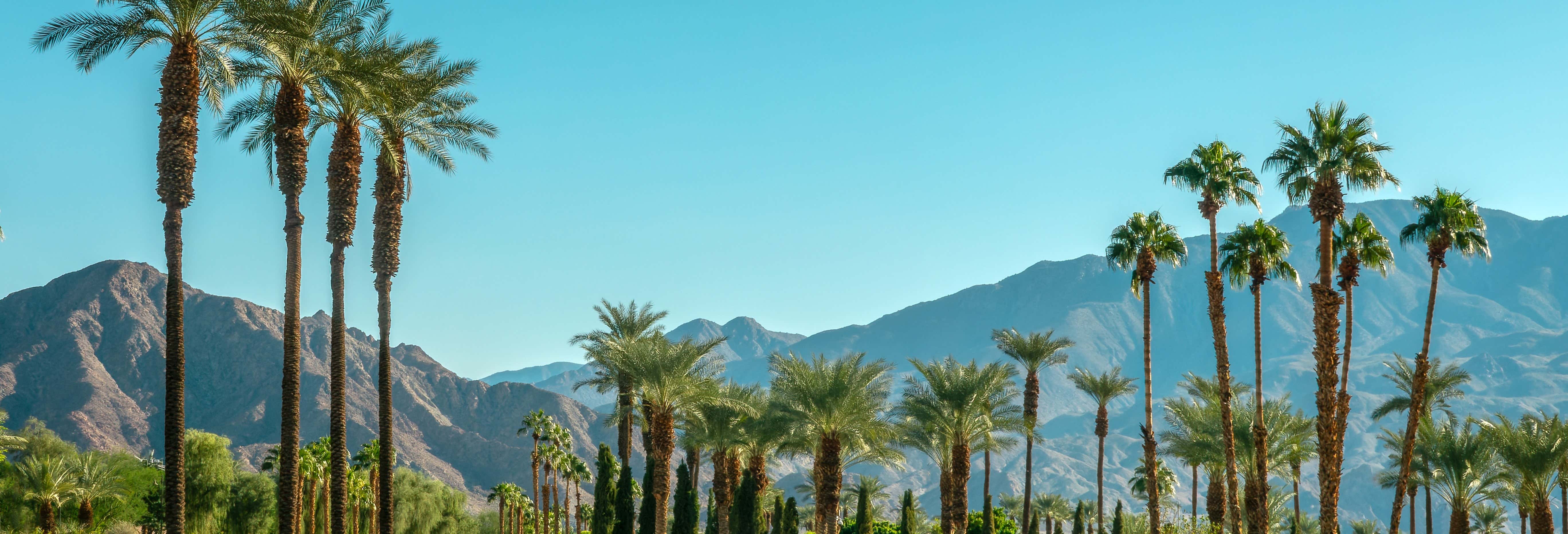 Balade en vélo électrique dans Palm Springs