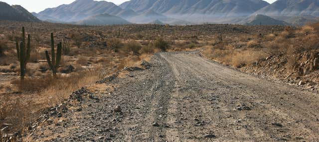 Tour del deserto di Sonora in jeep