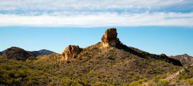 Tour del deserto di Sonora in quad