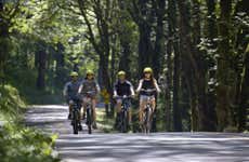 Multnomah Falls Electric Bike Rental