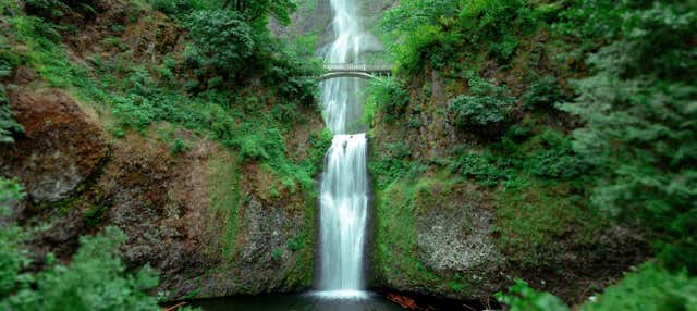 Escursione alle cascate di Multnomah