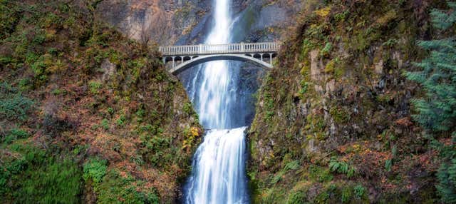 Filobus turistico delle cascate di Portland