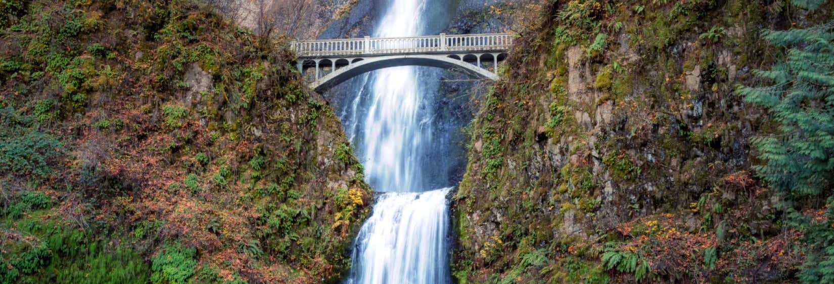 Filobus turistico delle cascate di Portland