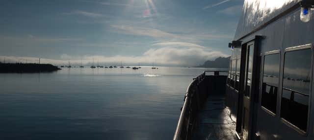 Traghetto per Boston