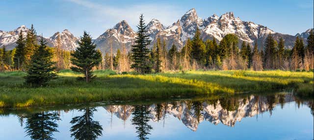 Tour di 4 giorni a Yellowstone e Grand Teton
