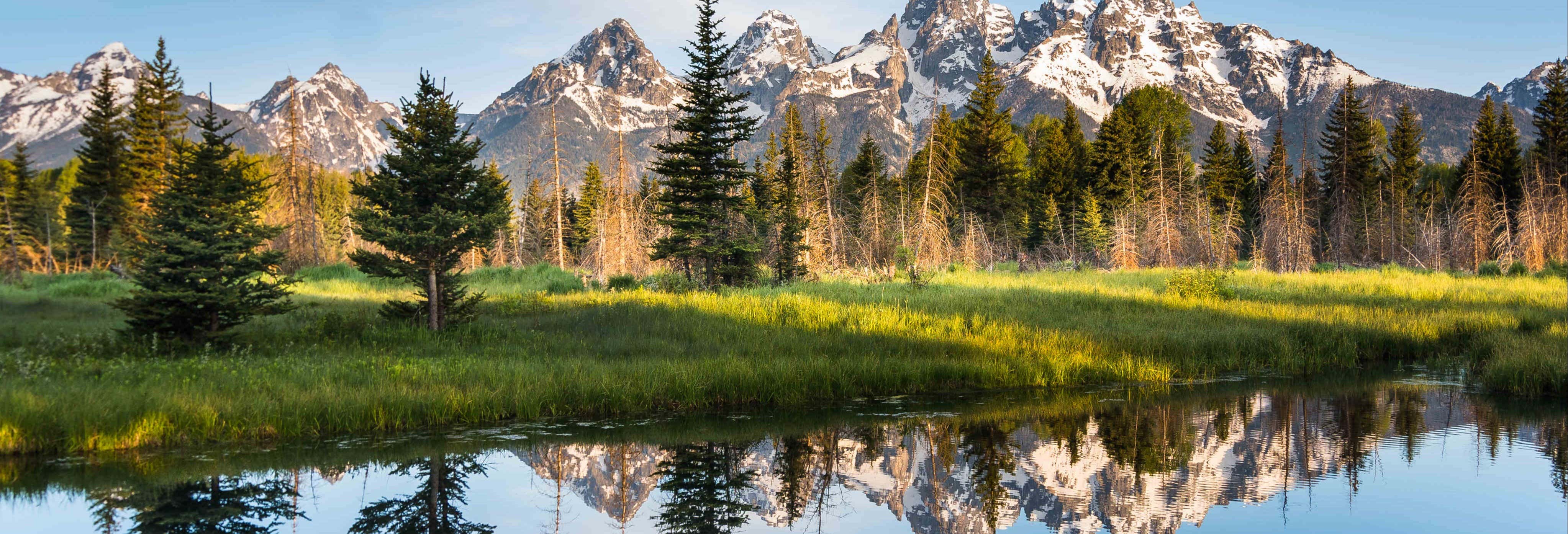 Tour di 4 giorni a Yellowstone e Grand Teton