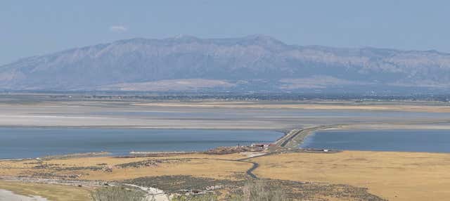 Escursione ad Antelope Island
