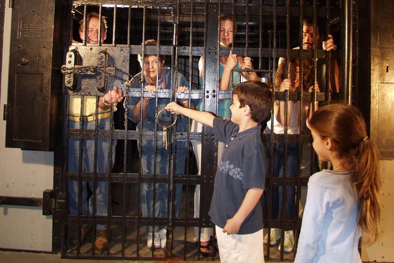 Imagen 5