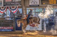 Saturday Night Rodeo