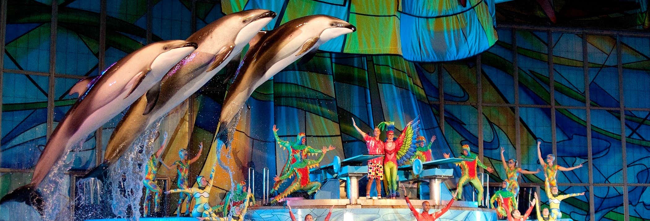 Ingresso do SeaWorld e Aquatica San Antonio