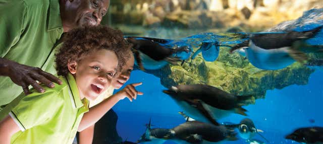 Biglietti per SeaWorld San Antonio