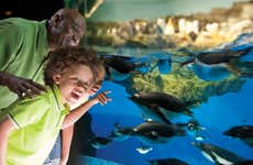 SeaWorld San Antonio Ticket